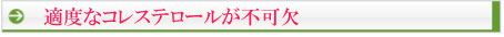 適度なコレステロールが不可欠