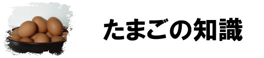 たまごの知識