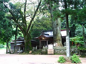 中宮神社と御神木の大スギ