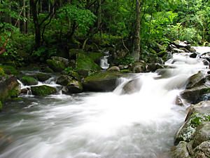 全国名水百選の千草川