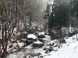 千種川雪景色